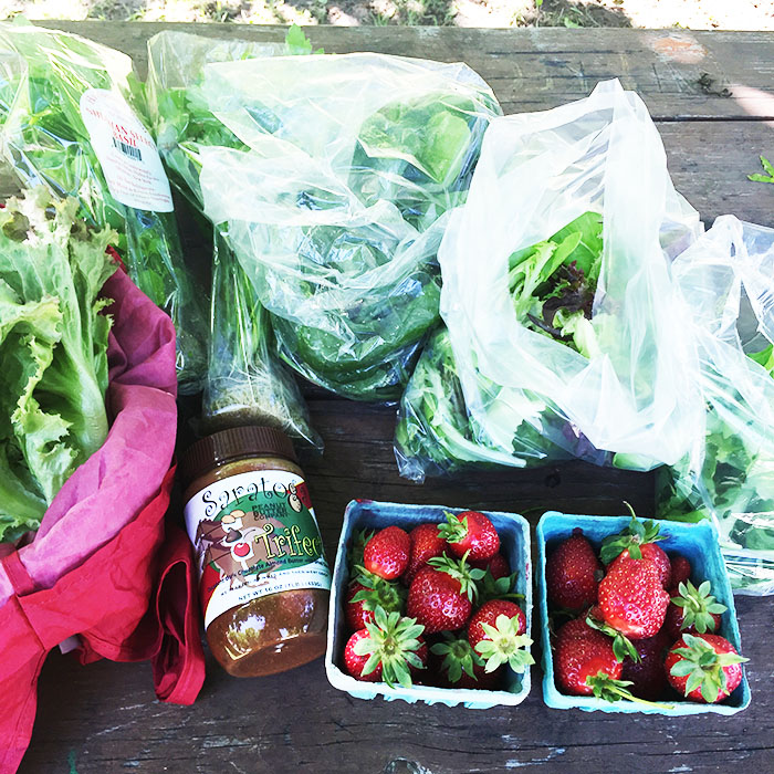 6/3/15- Farmer’s Market, Mineral Springs, & Vegan Kinda Junk Food Haul