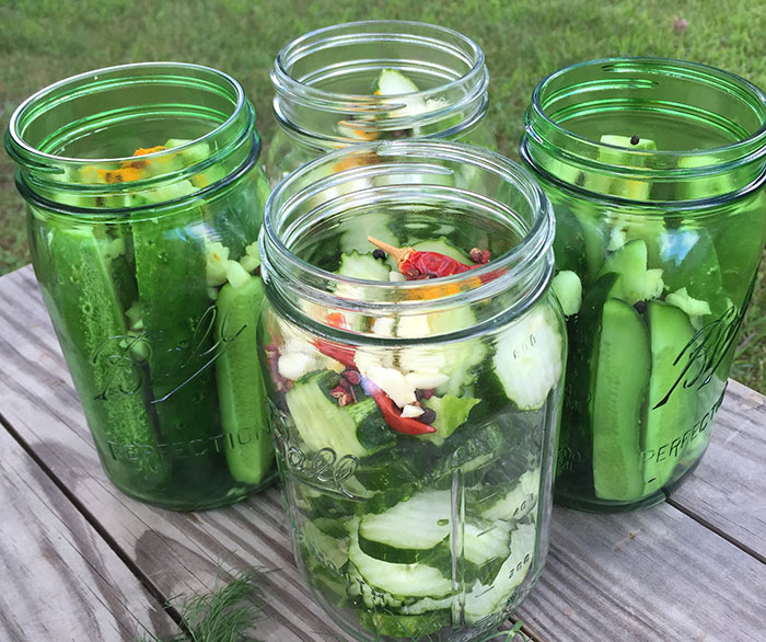 8/2/15- Refrigerator Dill Pickles + Vegan Cookbook Giveaway