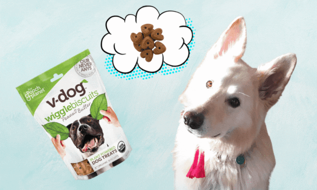 V-Dog Peanut Butter Wiggle Biscuits Vegan Dog Treats