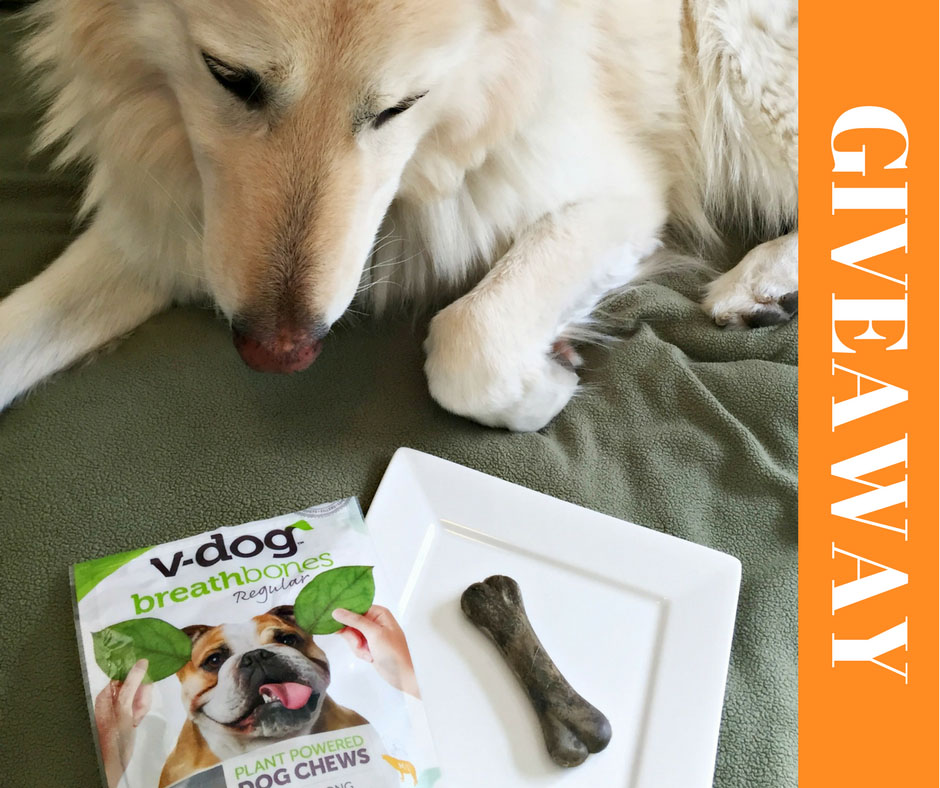 V Dog Breathbones Vegan Dog Chews Vegan ShowOff