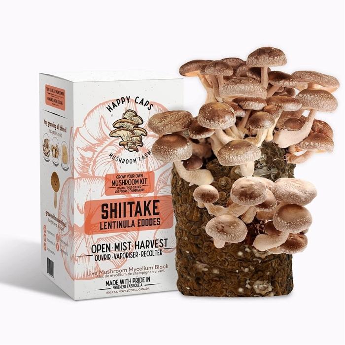 Happy Caps Shiitake Mushroom Growing Kit