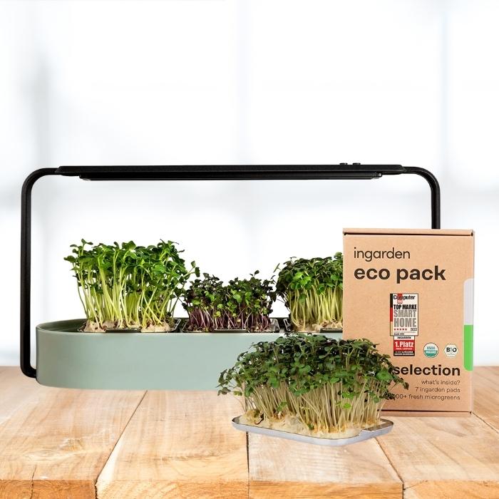 ingarden – Superfood Microgreens Growing Kit
