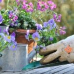 6 Reasons Gardening is Great for Mental Health