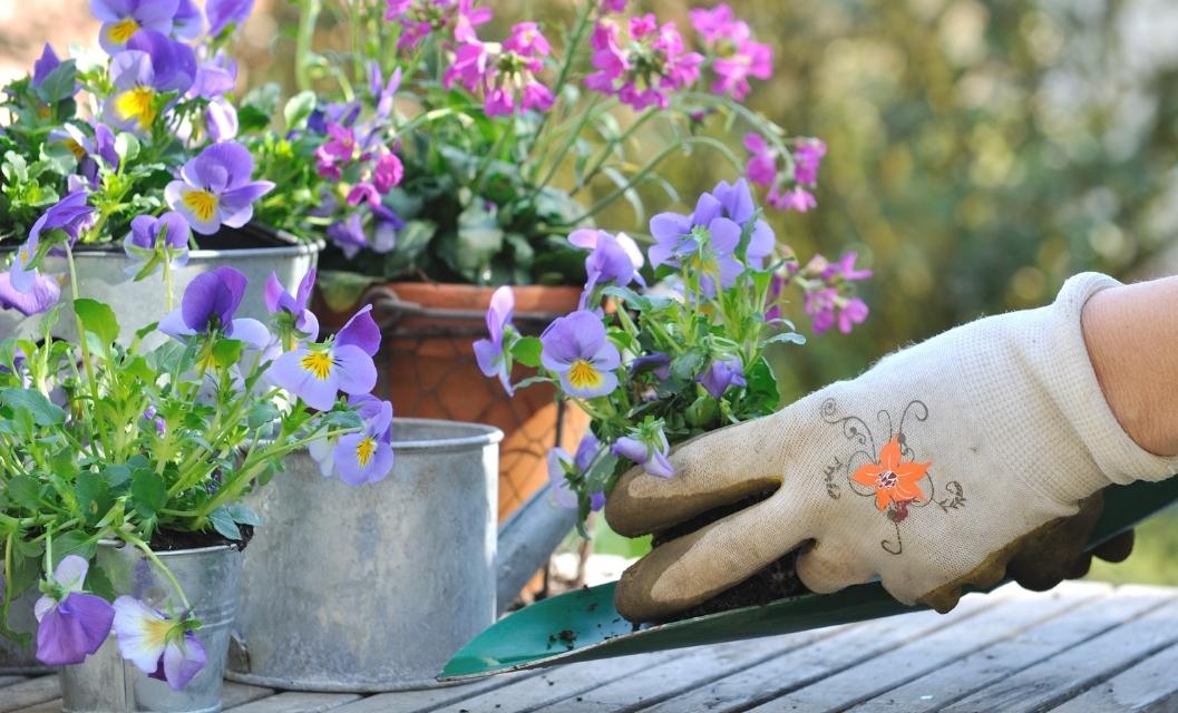 6 Reasons Gardening is Great for Mental Health