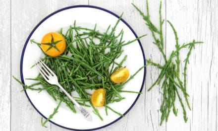 Is Seaweed Vegan? + 6 Simple Ways to Eat More Sea Vegetables