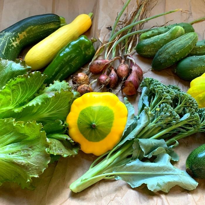 A variety of fresh vegetables harvested from a garden.