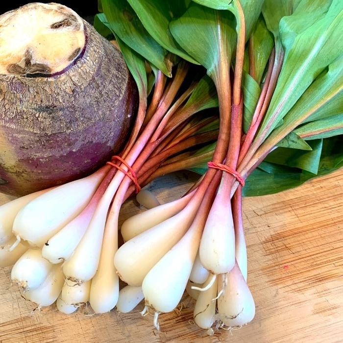 Bunches of ramps (wild leeks) from a farmer's market