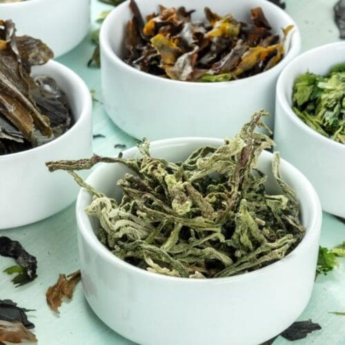 Is Seaweed Vegan? + 6 Ways to Eat More Sea Vegetables