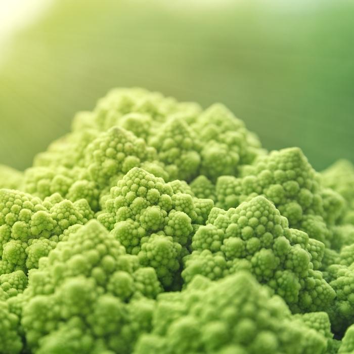 Close up of fresh green Romanesco cauliflower.