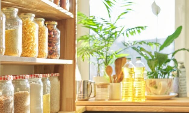 25 Affordable and Nutritious Vegan Pantry Staples